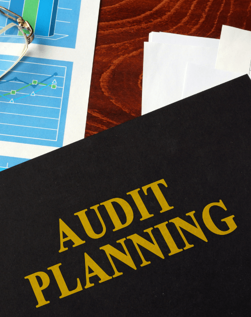 Internal Audit Plan- ISO 13485
