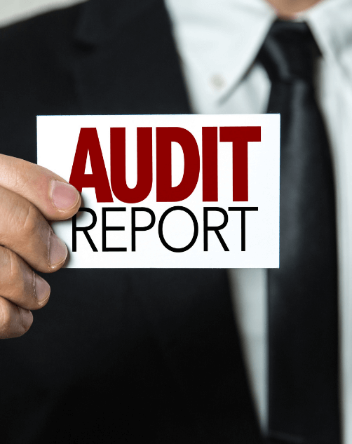 Internal Audit Report Template - ISO 13485